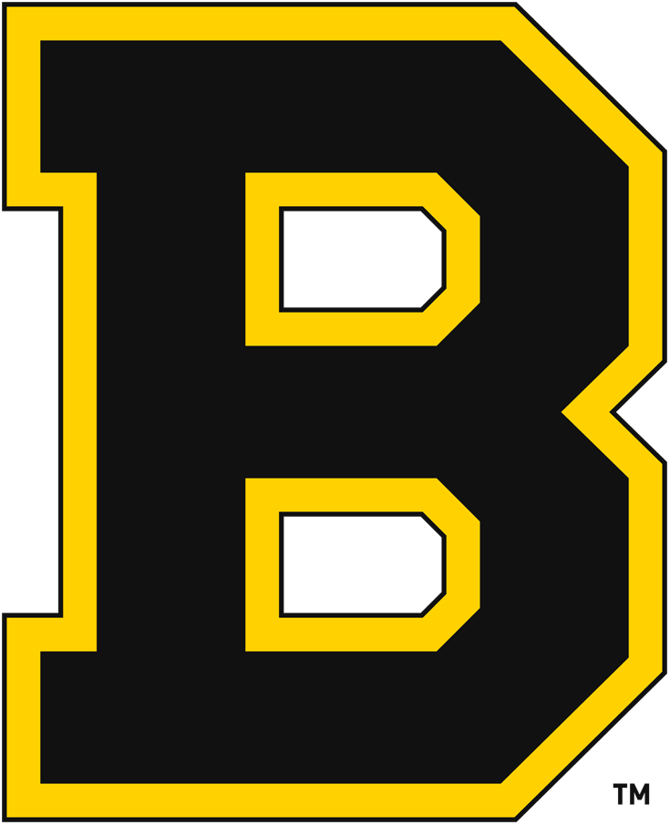 Boston Bruins 1934-1949 Primary Logo t shirts iron on transfers